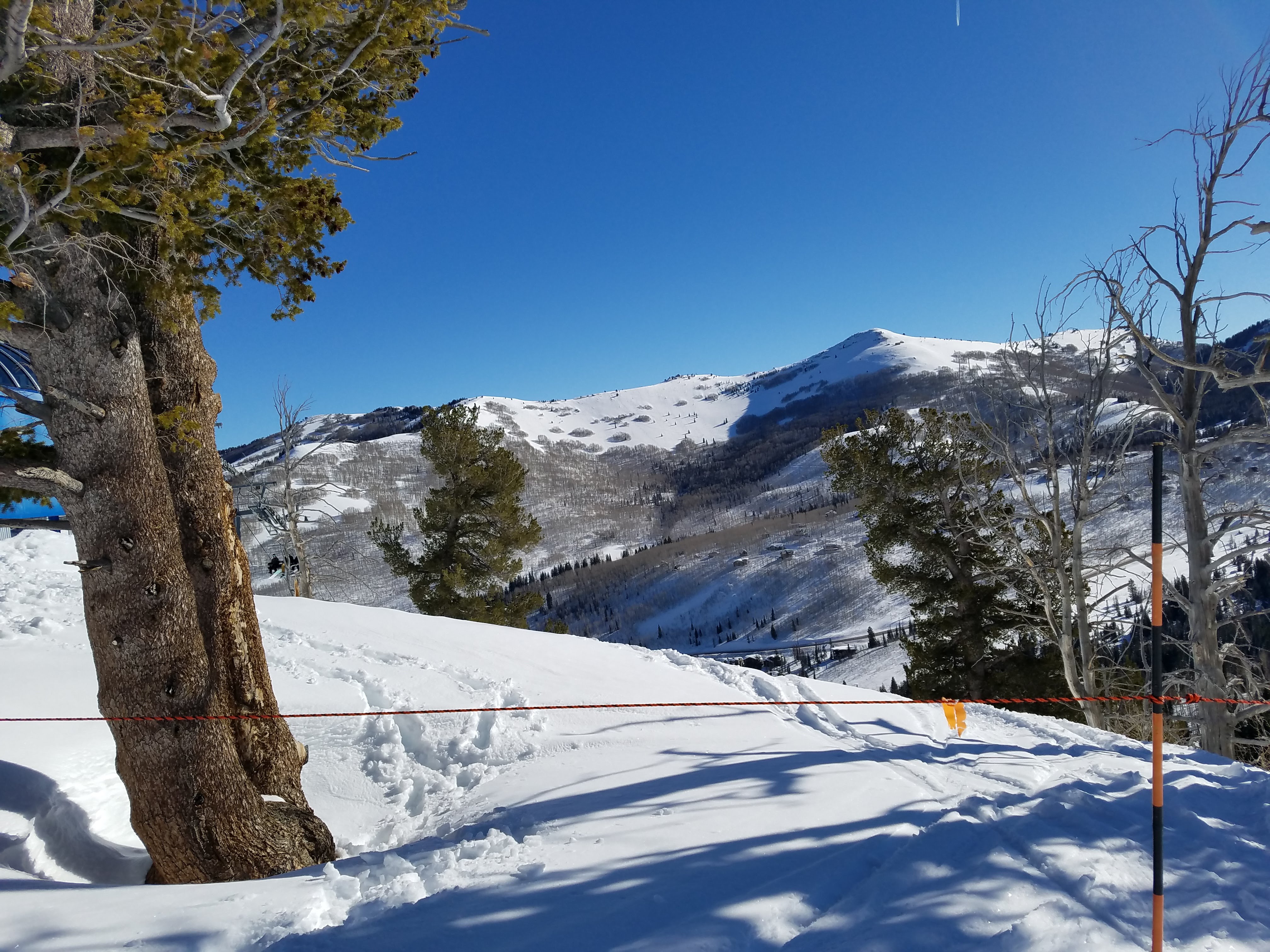 Ski Trips